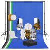 vidaXL Kit Studio Fotografico con Luci Ombrelli Fondale e Riflettore