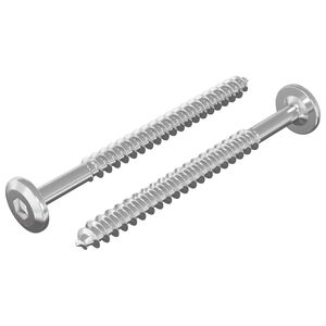 vidaXL Viti in Legno 2 pz Argento M6 x 70 mm Acciaio