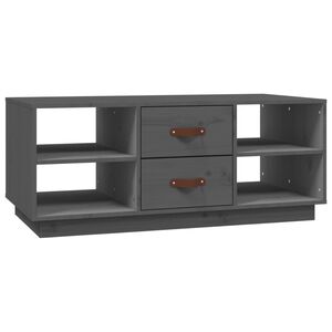 vidaXL Tavolino da Salotto Grigio 100x50x41 cm Legno Massello di Pino