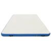 vidaXL Tappeto Galleggiante Gonfiabile Blu e Bianco 300x200x15 cm