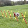 Kerbl Kit Allenamento Agility per Cani Rosso 80758