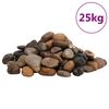 vidaXL Ciottoli Levigati 25 kg Colore Misto 2-5 cm