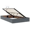 vidaXL Letto con contenitore e LED Grigio scuro 120 x 190 cm Velluto