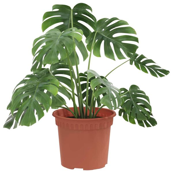 vidaXL Vaso Rotondo per Fiori 24 pcs Rosso Mattone &Oslash; 12,5 x 10 cm