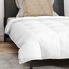 vidaXL Duvet 2-in-1 con cuscino 2 pcs Bianco Piuma d'anatra
