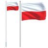 vidaXL Asta e Bandiera Polonia 6,08 m Alluminio