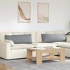 vidaXL Cuscini da Divano 2 pcs Grigio chiaro 120 x 40 cm Tessuto