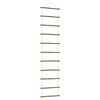 vidaXL Decorazione da Parete a Forma di Scala 50x200 cm Ramo Naturale
