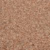 vidaXL Erba Artificiale con Tacchetti 5x1 m Beige