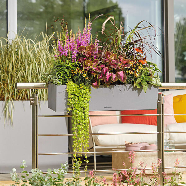 LECHUZA Fioriera BALCONERA Stone 80 ALL-IN-ONE Grigia