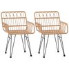 vidaXL Sedie da Giardino 2pz con Braccioli 56x64x80 cm Rattan PE