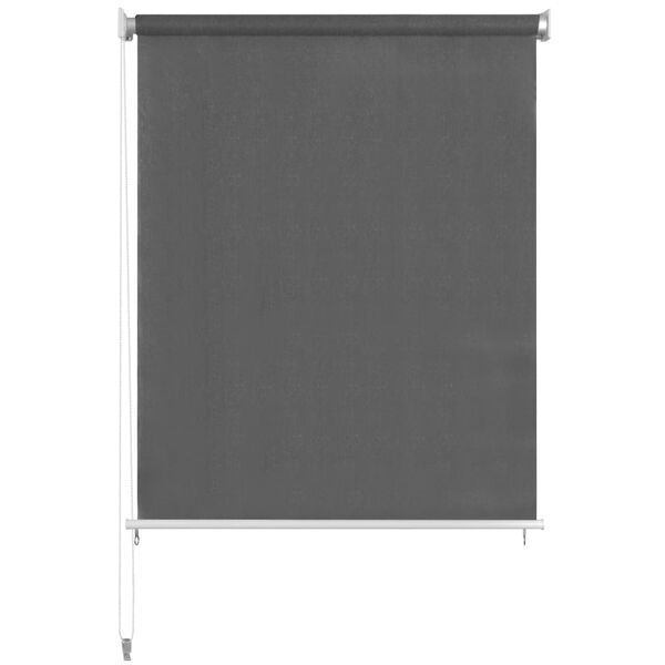 vidaXL Tenda a Rullo per Esterni 220x230 cm Antracite
