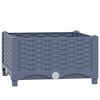 Blue_grey
