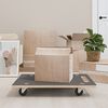 vidaXL Pedane di Trasporto 2 pz Rettangolari 80x55x11,5 cm 250 kg