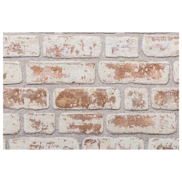 vidaXL Pannelli da parete 10 pcs Rosso e Bianco 100 x 50 cm