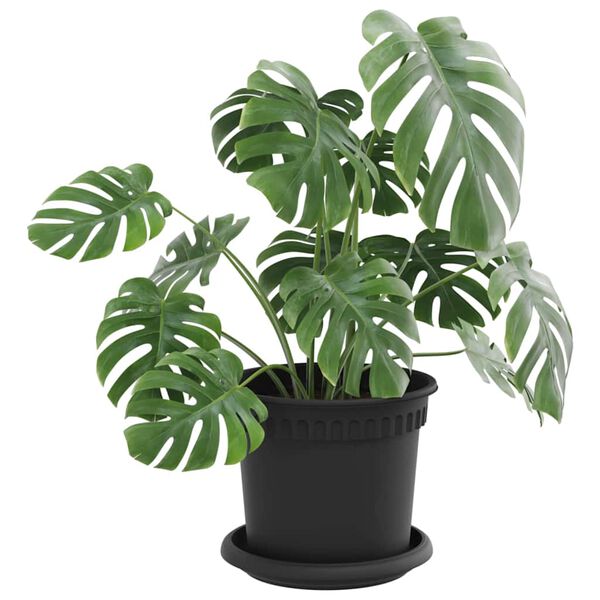 Visualizzazione immagine prodotto 3 di 12