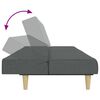 vidaXL Divano Letto 2 Posti con Poggiapiedi Grigio Scuro in Tessuto