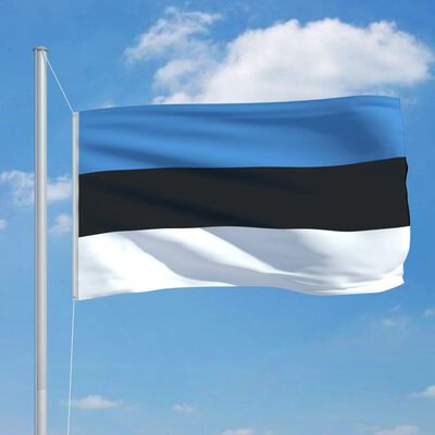 vidaXL Bandiera dell'Estonia con Pennone in Alluminio 6,2 m