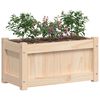 vidaXL Fioriera da Giardino 60x31x31 cm in Legno Massello di Pino
