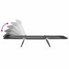 vidaXL Lettino prendisole pieghevole 2 pcs Nero 182 x 55 x 85.5cm