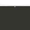 vidaXL Paravento Verticale Antracite 140x420 cm in Tessuto Oxford