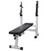 vidaXL Panca Reclinabile con Rack Bilanciere e Set Manubri 120 kg