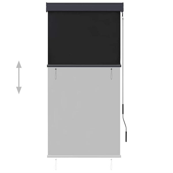 vidaXL Tenda a Rullo per Esterni 80x250 cm Antracite