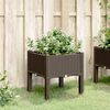 vidaXL Fioriera da Giardino con Gambe Marrone 40x40x42 cm in PP