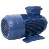 vidaXL Motore Elettrico Trifase in Alluminio 2,2kW/3HP 2 Poli 2840 RPM