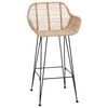 vidaXL Sedia da Bar 2 pcs Naturale 55 x 52 x 92 cm Rattan e Ferro
