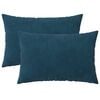vidaXL Cuscino con cuscino HEERLEN 2 pz Blu Velluto