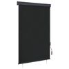 vidaXL Tenda a Rullo per Esterni 120x250 cm Antracite