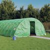 vidaXL Serra con Telaio in Acciaio Verde 100 m&sup2; 20x5x2,3 m