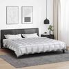 vidaXL Duvet Invernale Argento 200 x 200 cm Satin e Micropile