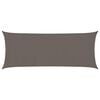 vidaXL Vela Parasole 160 g/m&sup2; Antracite 2x4,5 m in HDPE