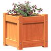 vidaXL Fioriera Giardino Marrone Cera 31x31x31 cm Legno Massello Pino