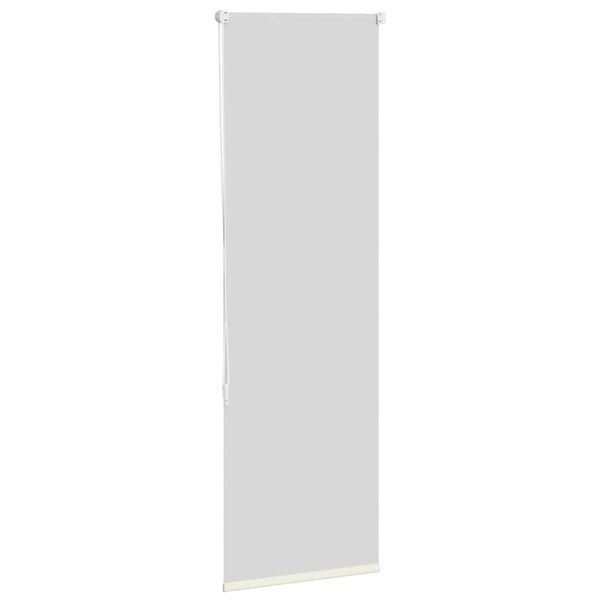 vidaXL Tenda a Rullo Oscurante 60x150 cm Larghezza Tessuto 55,7 cm