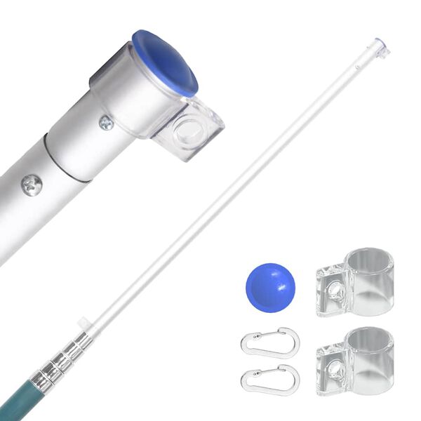 vidaXL Asta Telescopica per Bandiere Argento 5,5 m in Alluminio