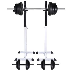 vidaXL Stazione per Squat con Bilanciere e Set di Manubri da 60,5 kg