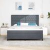 vidaXL Letto a molle con materasso Grigio scuro 180 x 200 cm Velluto