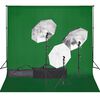 vidaXL Kit per Studio Fotografico con Set di Luci e Fondale