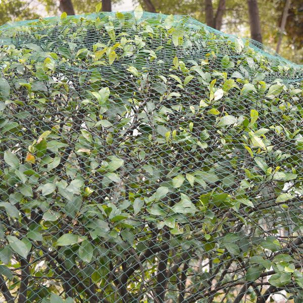 vidaXL Set di reti antiuccello 2 pz 6x8 m PE