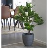 House Nordic Pianta Artificiale Magnolia 90 cm Verde