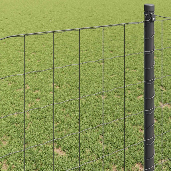Visualizzazione immagine prodotto 4 di 9
