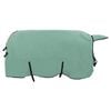 vidaXL Coperta per Cavalli Verde speciale 155 cm Fleece in poliestere