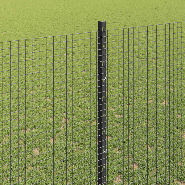 Visualizzazione immagine prodotto 4 di 14