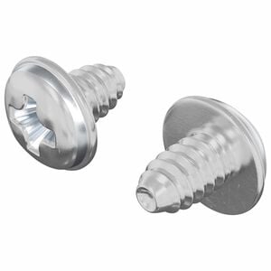 vidaXL Viti a Brugola 2 pz Argento M4 x 5 mm Ferro