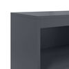 vidaXL Credenza Antracite 68,5x38,5x123,5 cm in Acciaio