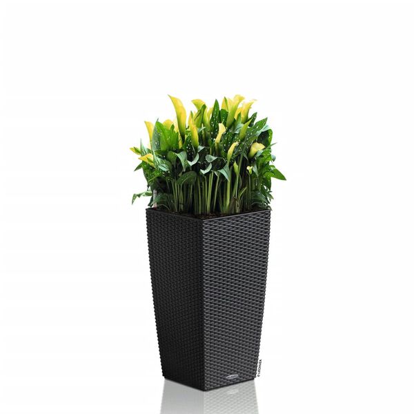 LECHUZA Fioriera CUBICO Cottage 30 ALL-IN-ONE Granito