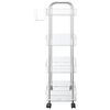 vidaXL Carrello Portaoggetti a 4 Livelli 37x28x95 cm in Acrilico